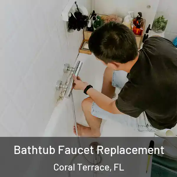  Bathtub Faucet Replacement Coral Terrace, FL