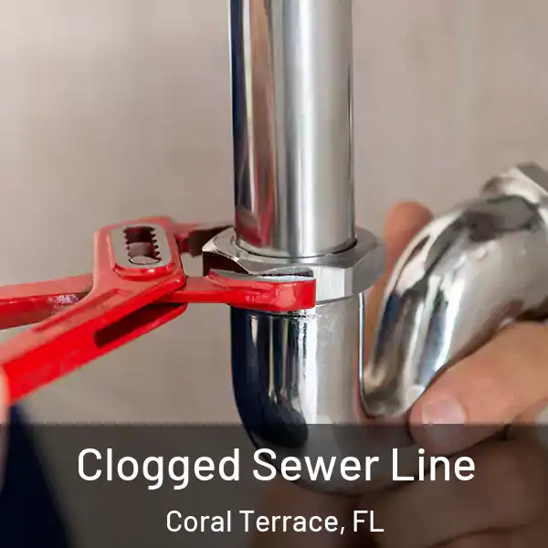  Clogged Sewer Line Coral Terrace, FL