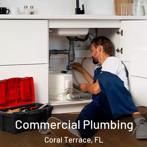  Commercial Plumbing Coral Terrace, FL