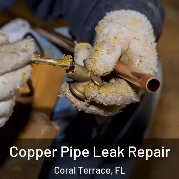  Copper Pipe Leak Repair Coral Terrace, FL