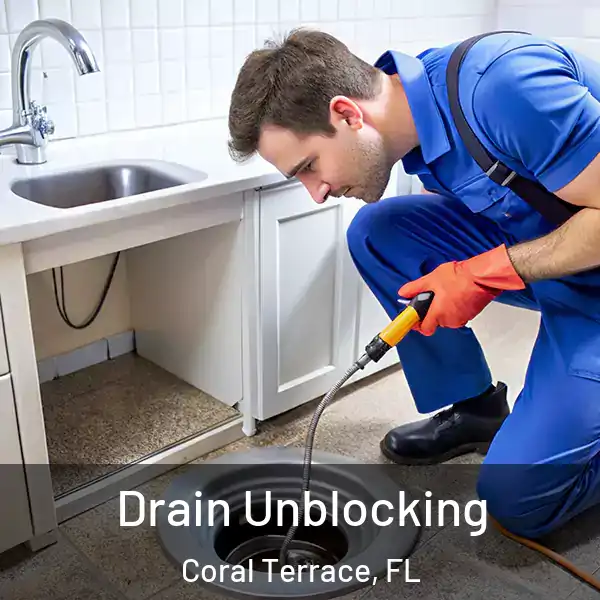  Drain Unblocking Coral Terrace, FL