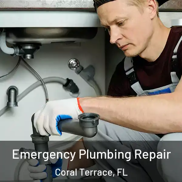  Emergency Plumbing Repair Coral Terrace, FL