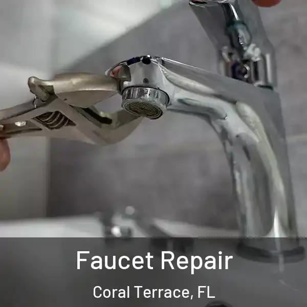 Faucet Repair Coral Terrace, FL