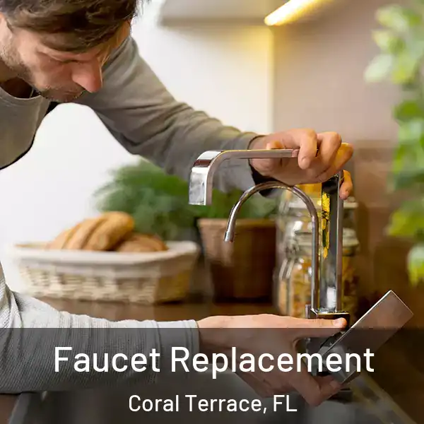  Faucet Replacement Coral Terrace, FL