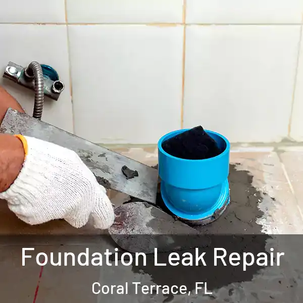  Foundation Leak Repair Coral Terrace, FL