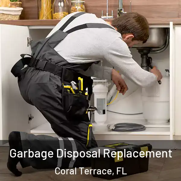  Garbage Disposal Replacement Coral Terrace, FL