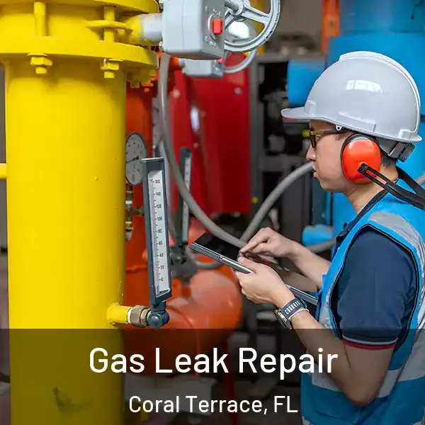  Gas Leak Repair Coral Terrace, FL