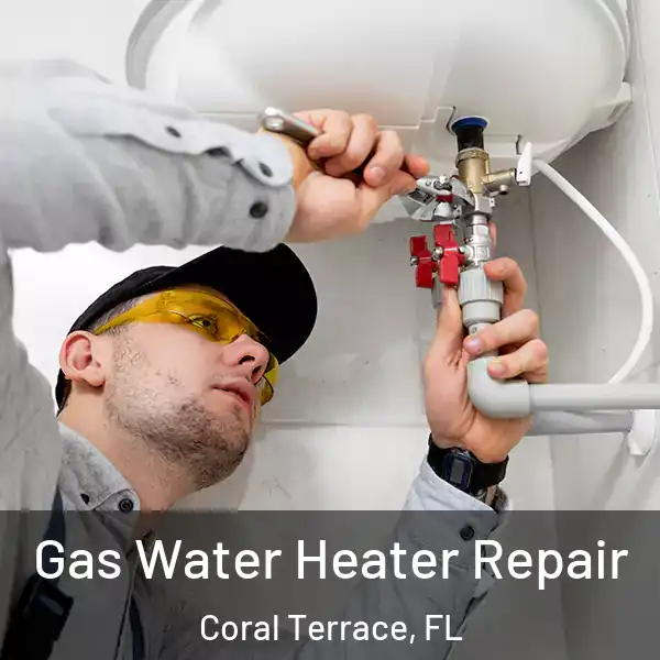  Gas Water Heater Repair Coral Terrace, FL