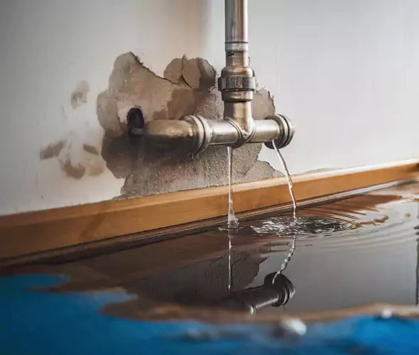 Professional Water Damage Restoration Experts in Coral Terrace, FL — Fast, Reliable & Certified