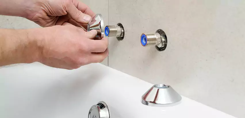 Bathtub Faucet Diverter Replacement in Coral Terrace