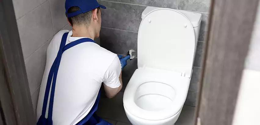 Toilet Lid Replacement in Coral Terrace