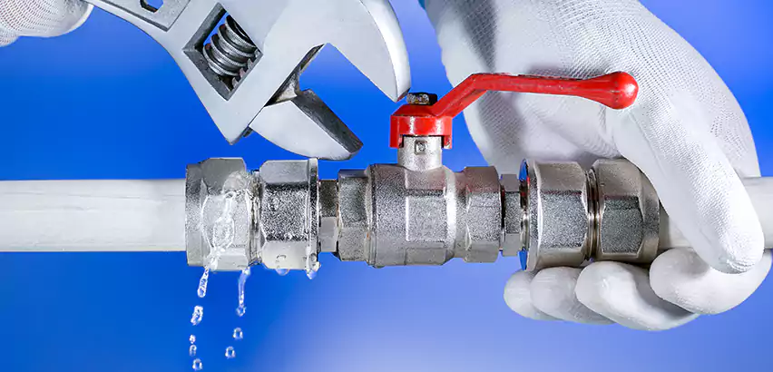 Water Line Repair in Coral Terrace, FL
