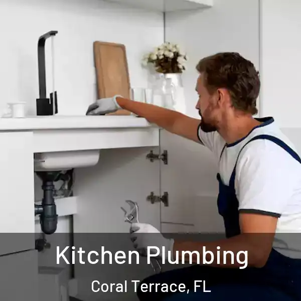  Kitchen Plumbing Coral Terrace, FL