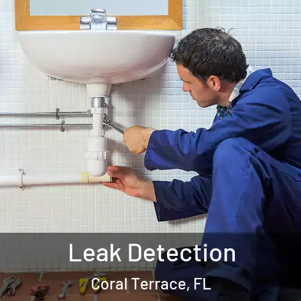  Leak Detection Coral Terrace, FL