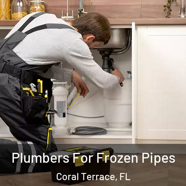  Plumbers For Frozen Pipes Coral Terrace, FL