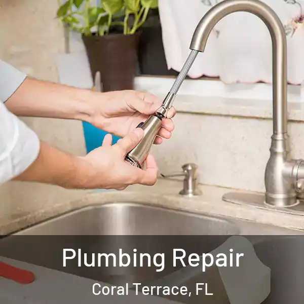  Plumbing Repair Coral Terrace, FL