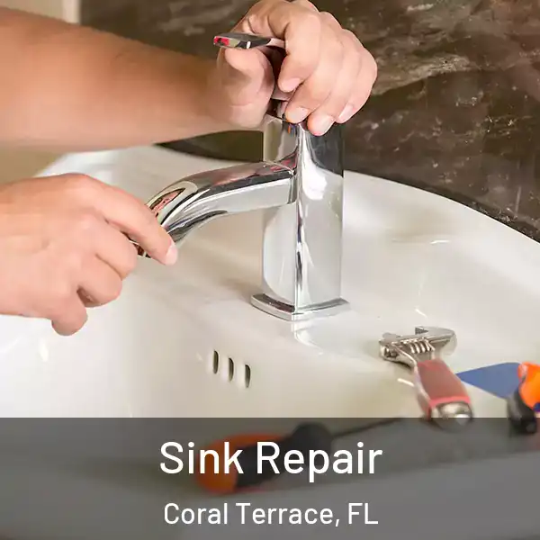  Sink Repair Coral Terrace, FL