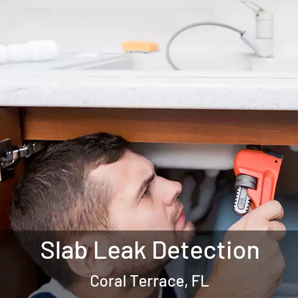  Slab Leak Detection Coral Terrace, FL