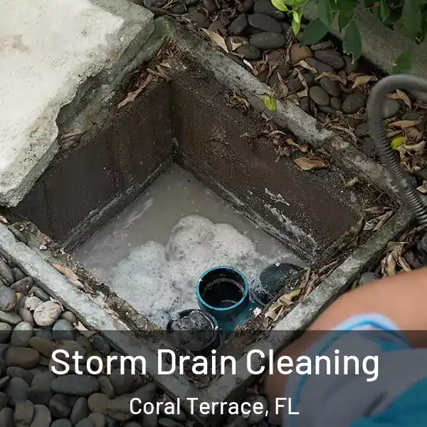  Storm Drain Cleaning Coral Terrace, FL