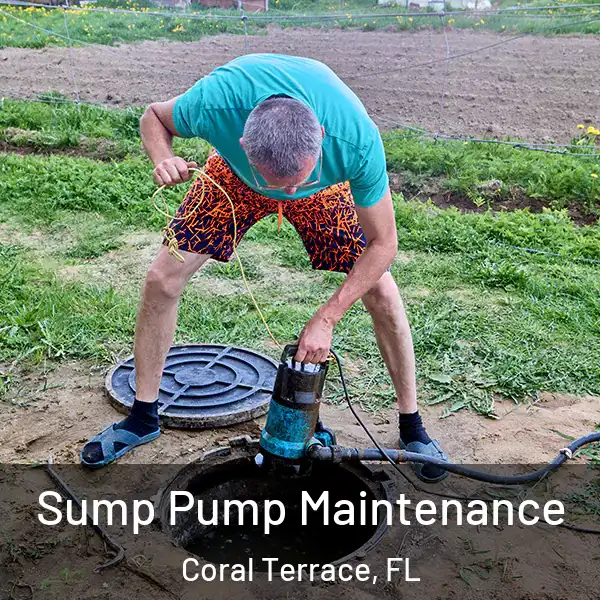  Sump Pump Maintenance Coral Terrace, FL