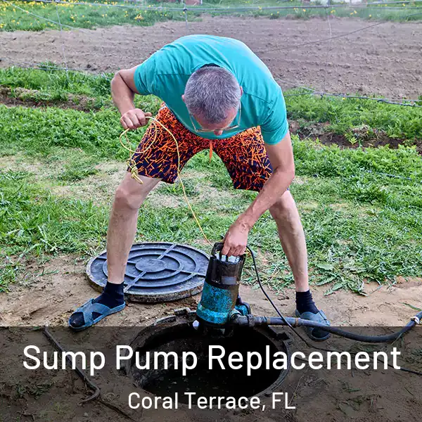  Sump Pump Replacement Coral Terrace, FL