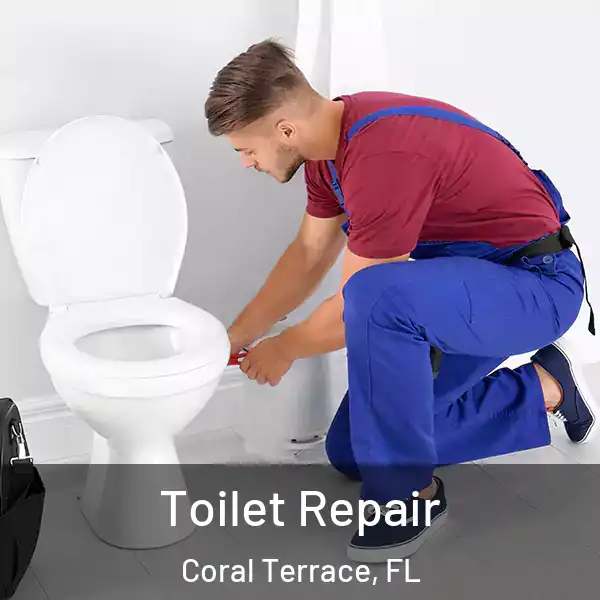  Toilet Repair Coral Terrace, FL