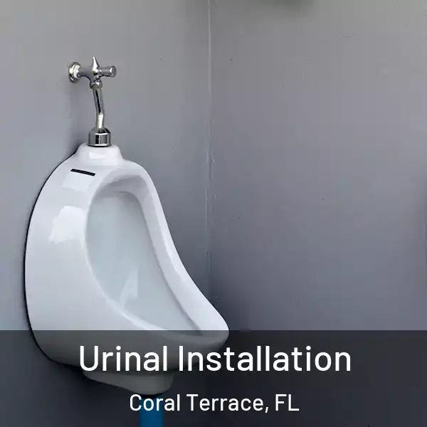  Urinal Installation Coral Terrace, FL