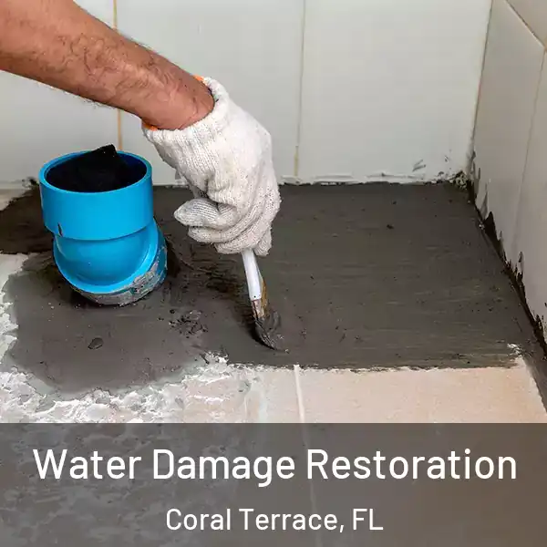  Water Damage Restoration Coral Terrace, FL