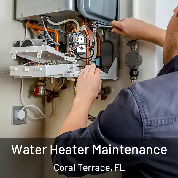  Water Heater Maintenance Coral Terrace, FL