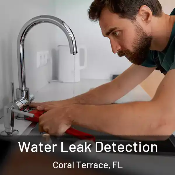  Water Leak Detection Coral Terrace, FL