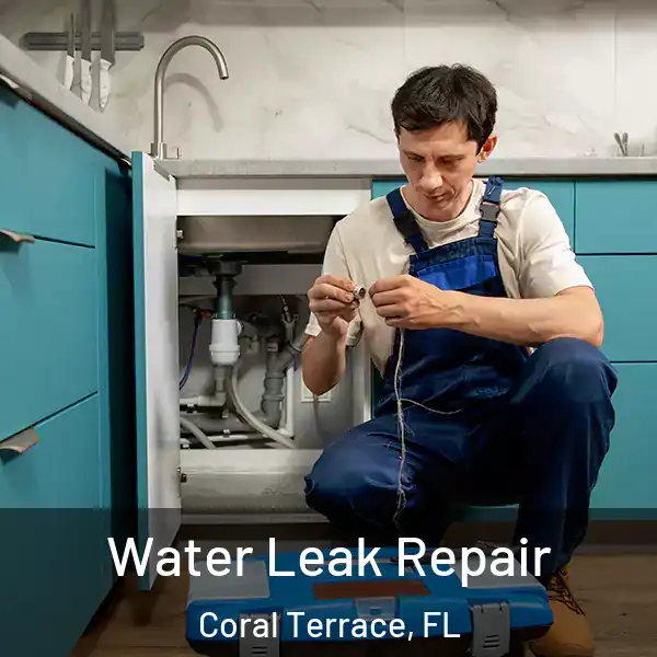  Water Leak Repair Coral Terrace, FL